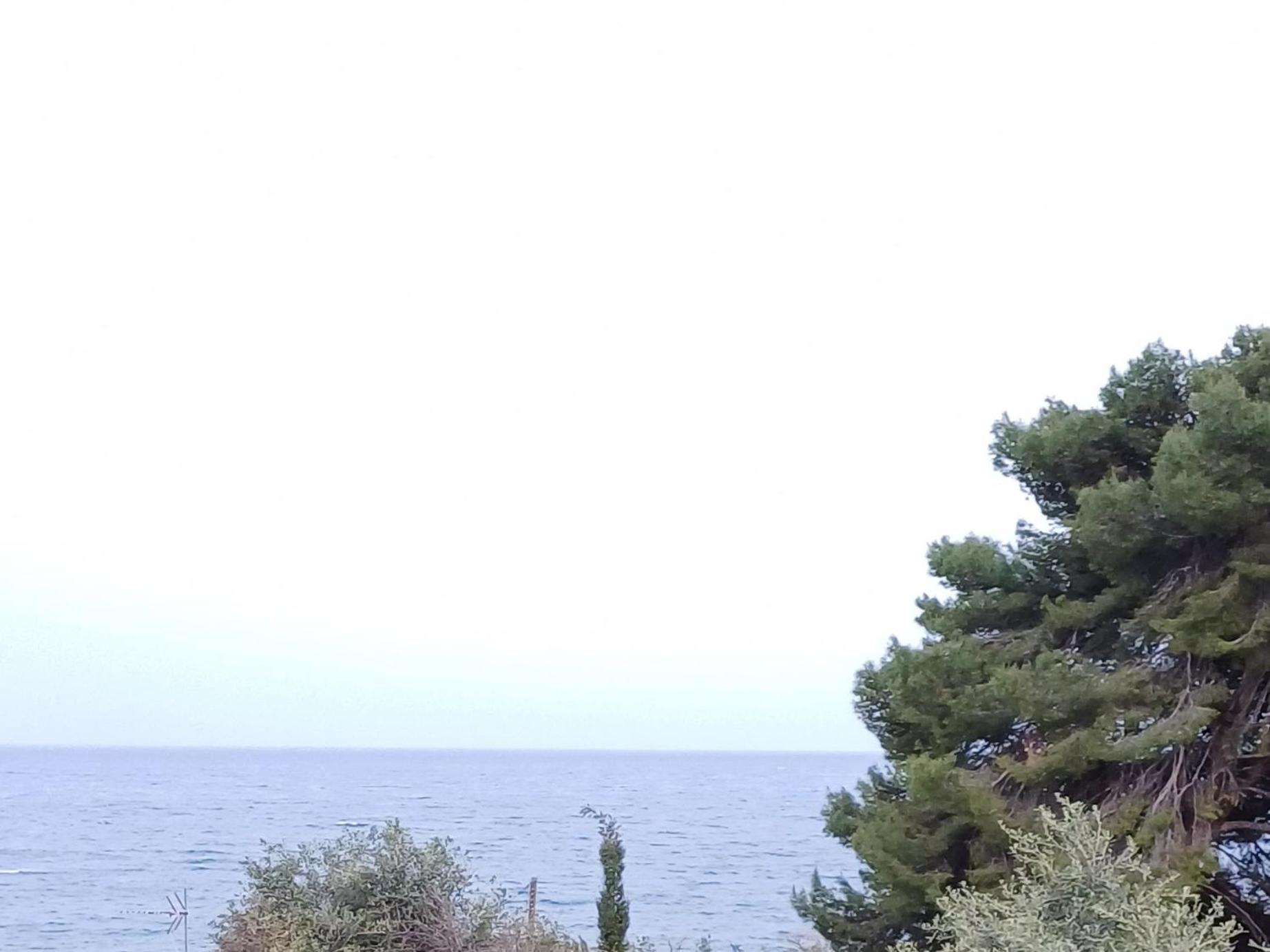 Flora Studios Corfu - Adults Only ベニテス 部屋 写真