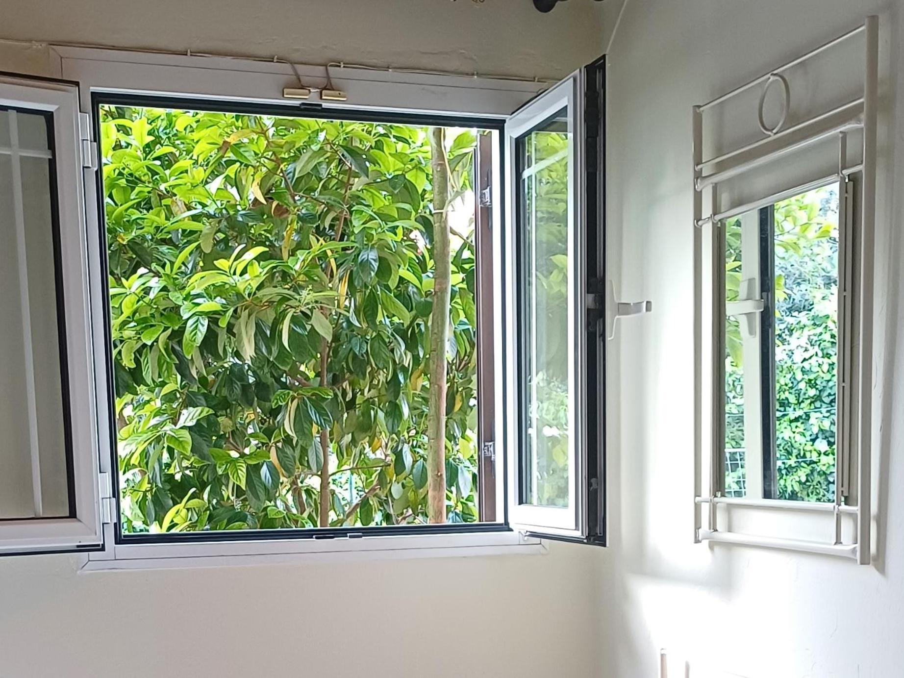 Flora Studios Corfu - Adults Only ベニテス 部屋 写真